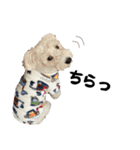 Jay #02（個別スタンプ：20）