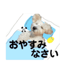 Jay #02（個別スタンプ：28）