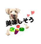 Jay #02（個別スタンプ：34）
