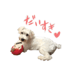 Jay #02（個別スタンプ：35）