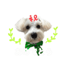 Jay #02（個別スタンプ：37）