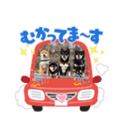 Tumuさんの日常 柴女子の仲間たち①（個別スタンプ：8）