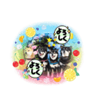 Tumuさんの日常 柴女子の仲間たち①（個別スタンプ：12）
