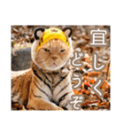 きなことあんこ9（個別スタンプ：1）
