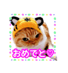 きなことあんこ9（個別スタンプ：6）