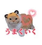 きなことあんこ9（個別スタンプ：7）