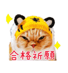 きなことあんこ9（個別スタンプ：8）