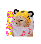 きなことあんこ9（個別スタンプ：12）