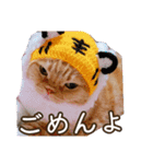 きなことあんこ9（個別スタンプ：13）