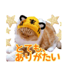 きなことあんこ9（個別スタンプ：15）