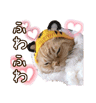 きなことあんこ9（個別スタンプ：16）