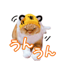 きなことあんこ9（個別スタンプ：17）