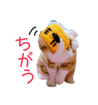 きなことあんこ9（個別スタンプ：20）