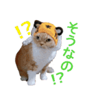 きなことあんこ9（個別スタンプ：22）