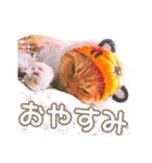 きなことあんこ9（個別スタンプ：24）