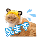きなことあんこ9（個別スタンプ：26）