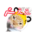 きなことあんこ9（個別スタンプ：28）