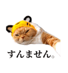 きなことあんこ9（個別スタンプ：29）