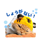 きなことあんこ9（個別スタンプ：30）