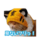 きなことあんこ9（個別スタンプ：31）