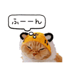 きなことあんこ9（個別スタンプ：32）
