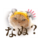 きなことあんこ9（個別スタンプ：34）