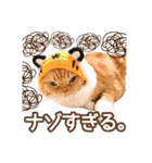 きなことあんこ9（個別スタンプ：35）