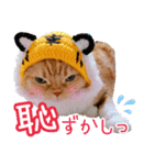 きなことあんこ9（個別スタンプ：38）