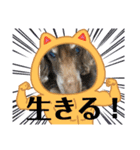 ちゅりんぼだもの（個別スタンプ：1）