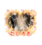 ちゅりんぼだもの（個別スタンプ：7）