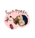 ちわぷーのちまきちゃん（個別スタンプ：7）