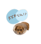 ちわぷーのちまきちゃん（個別スタンプ：38）