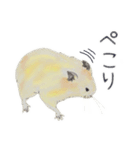 キンクマハムスターのはむ（個別スタンプ：4）