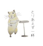 キンクマハムスターのはむ（個別スタンプ：6）