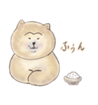 SHIBU SHIBA（個別スタンプ：1）