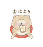 SHIBU SHIBA（個別スタンプ：8）