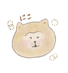 SHIBU SHIBA（個別スタンプ：13）