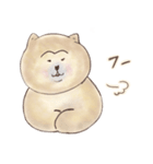 SHIBU SHIBA（個別スタンプ：18）