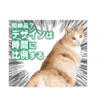 猫スタンプ デザイナーあるある編（個別スタンプ：1）