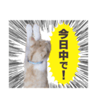 猫スタンプ デザイナーあるある編（個別スタンプ：32）
