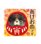 メロネロ正月（個別スタンプ：4）