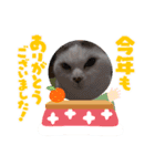 メロネロ正月（個別スタンプ：6）