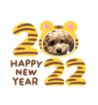 2022年 新年（個別スタンプ：1）