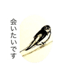 聖蘭Seiran   日本・言霊①Japan・Kotodama（個別スタンプ：29）