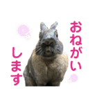 ゴブリンスタンプpart2（個別スタンプ：1）