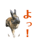 ゴブリンスタンプpart2（個別スタンプ：7）