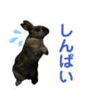 ゴブリンスタンプpart2（個別スタンプ：16）
