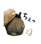 ゴブリンスタンプpart2（個別スタンプ：19）