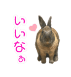 ゴブリンスタンプpart2（個別スタンプ：28）