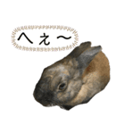 ゴブリンスタンプpart2（個別スタンプ：34）
